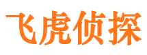 石楼市私人侦探